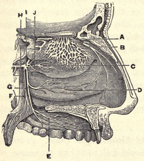 Illustration: