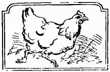 hen