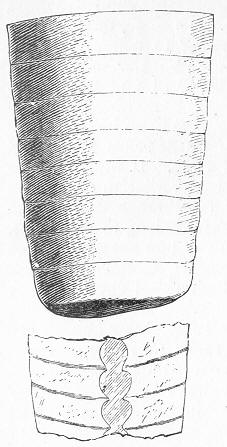 Fig. 55