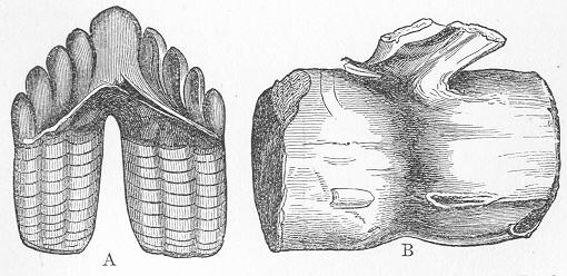 Fig. 228