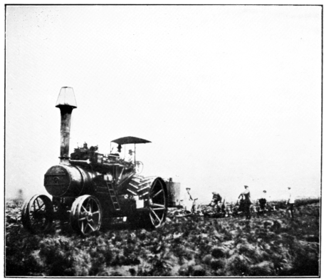 Ploughing Virgin Camp.