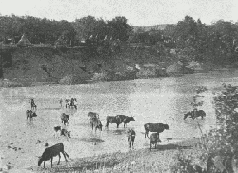 A Peaceful Sunday: Klip River and Camp of the Imperial Light Horse, Ladysmith