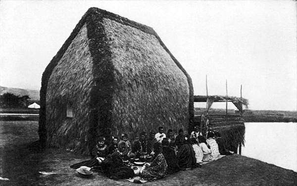 A NATIVE GRASS HUT, HAWAII.