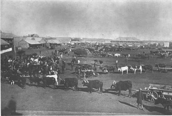 JOHANNESBURG MARKET PLACE.