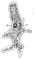 FIG. 22.