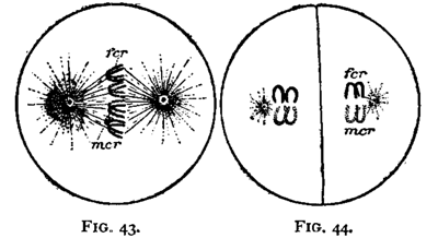 FIG. 43-44