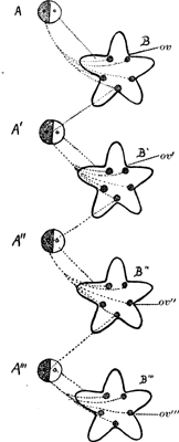 FIG. 50