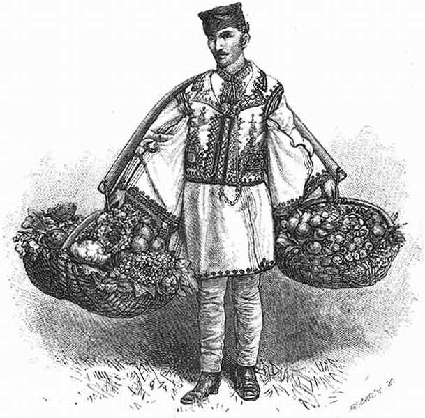 FRUIT-SELLER OF BUCAREST.