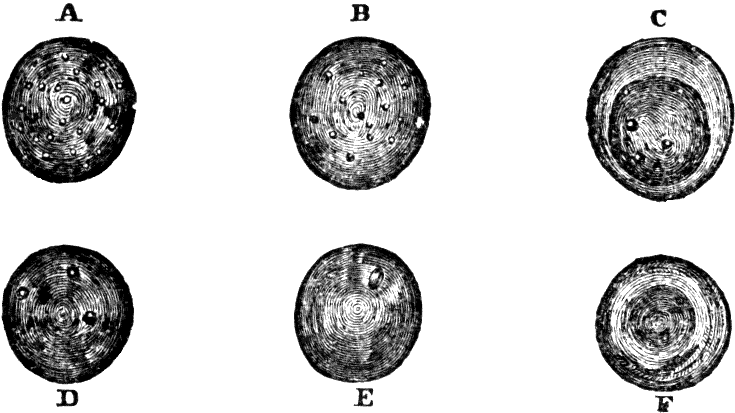 Illustration:
Fig. 39. Development of human lymph and chyle-corpuscles into red
corpuscles of blood. 