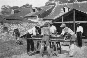 CLAYING CACAO BEANS IN TRINIDAD.