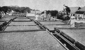 DRYING CACAO AT AGUA IZE, SAN THOMÉ.
The trays are on wheels, which run on rails.