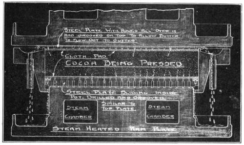 SECTION THROUGH CACAO PRESS-POT AND RAM-PLATE.