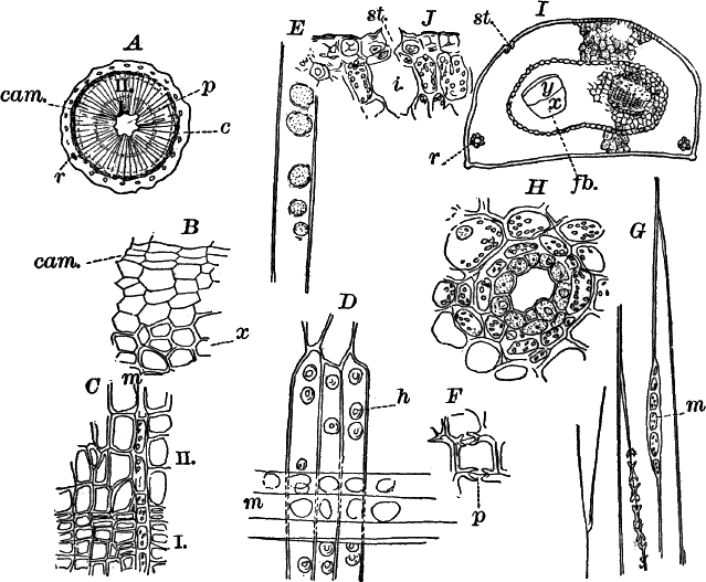 Fig. 76.