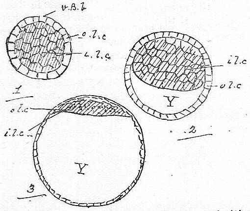 Illustration: Development Section 36.