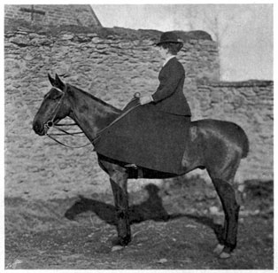 Woman seated side-saddle on a horse.