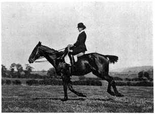 Woman riding at the canter