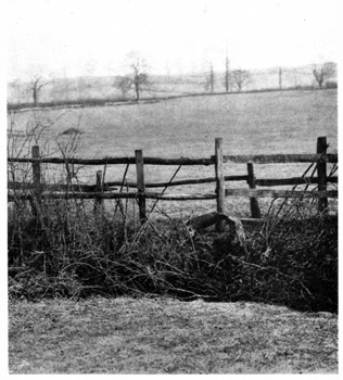 Posts and rails with ditch.