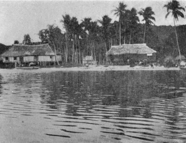 TWO PROMINENT HOUSES IN TAY TAY.