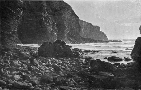 CLIFFS NEAR PADSTOW.