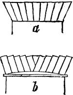 Fig. XXXV.