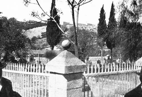 A GARDEN SURROUNDED BY AN IRON FENCE.