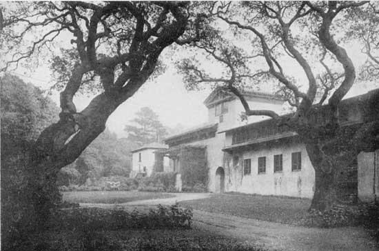 "The live oaks of Berkeley's campus"
