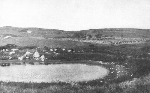 This little pond is a basin hollowed by the same glacier
that scattered the stones and rounded the hills