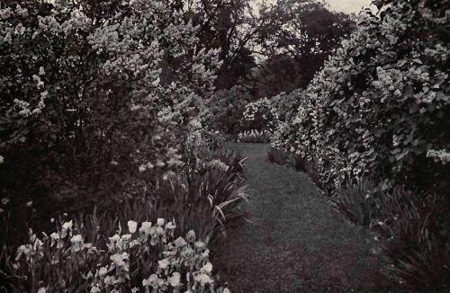 PLATE 16 "Holm Lea," Brookline, Mass. Professor C. S. Sargent