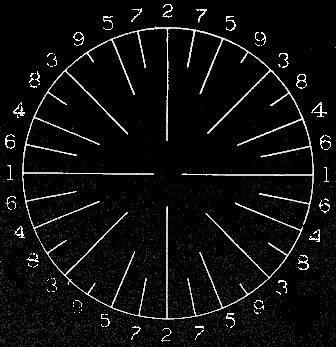 Diagram of succession of tentacles.