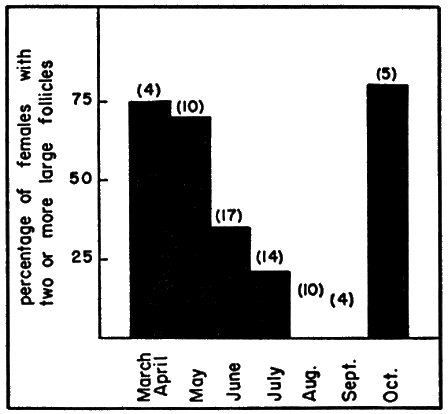 Fig. 5. The seasonal occurrence of enlarged ovarian
follicles in females