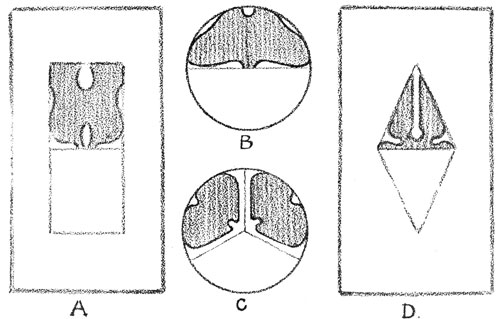 A, B, C, D