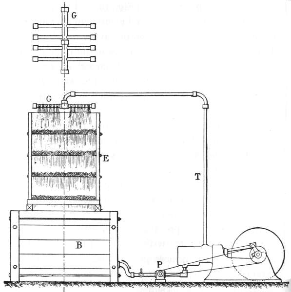 Fig. 65.