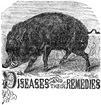 Diseases and their Remedies