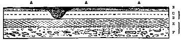 [Illustration:
Section of the strata exhibited in the cliffs of the ninety feet plain at Port
S. Julian.]