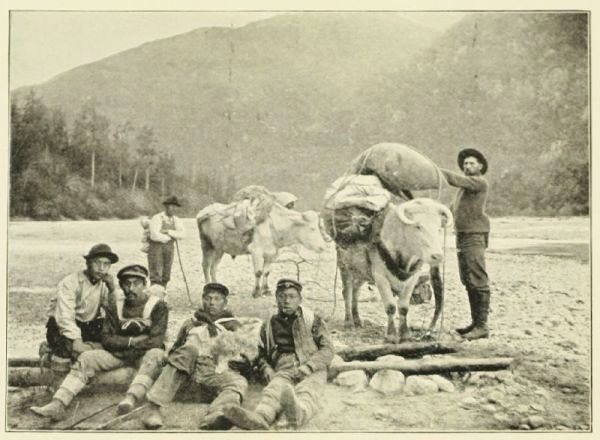 A Party of Miners going in by the Skagway or White Pass Trail.