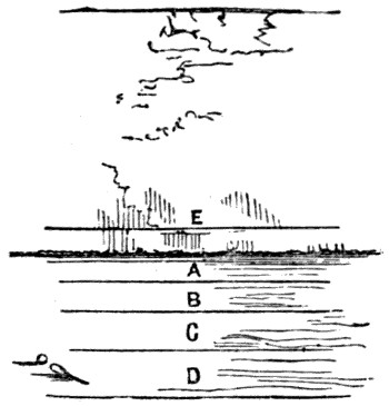 Lay-out of racket-ground