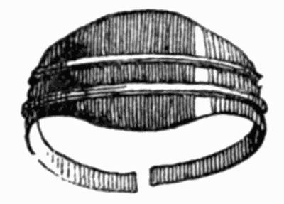 Bronze Ring