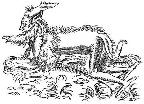 Satyr