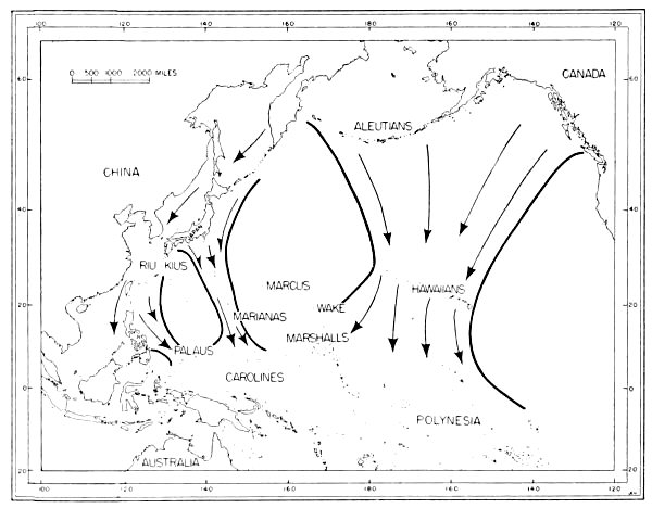 Routes of migration used by shore birds in the Pacific...