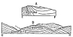 Fig. 162—Sketch sections at Antabamba to show (a)
deformed limestones on the upper edge of the geologic map, Fig. 163 A;
and (b) the structural relations of limestone and quartzite. See also
Fig. 163.