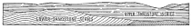 Fig. 176—Composite geologic section to show the
structural relations of the rocks on the western border of the Maritime
Cordillera. The inclined strata at the right bottom represent older
rocks; in places igneous, in other places sedimentary.