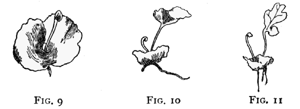 Fig. 9, Fig. 10, Fig. 11