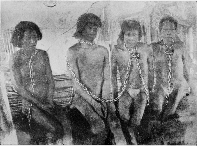 CHAINED INDIAN RUBBER GATHERERS IN THE STOCKS: ON THE
PUTUMAYO RIVER.

[Frontispiece