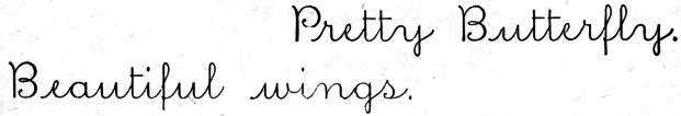 cursive: Pretty butterfly.
Beautiful wings