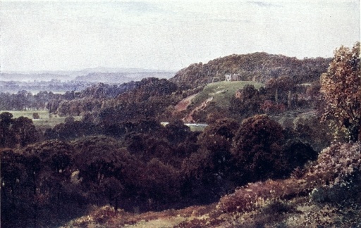 ST. CATHERINE’S CHAPEL, NEAR GUILDFORD.