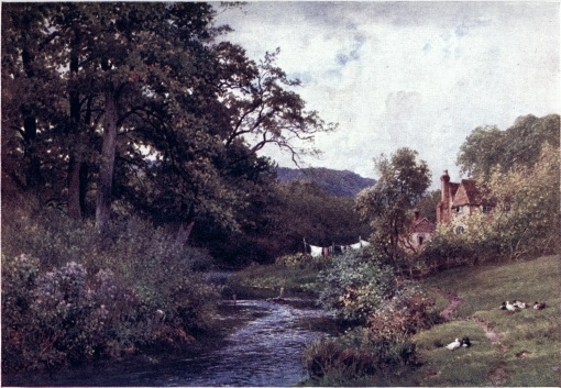 A STREAM NEAR SHALFORD.