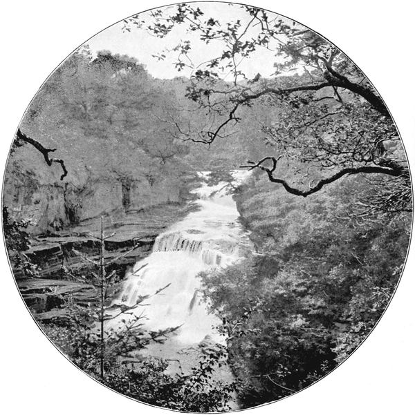 Corra Linn