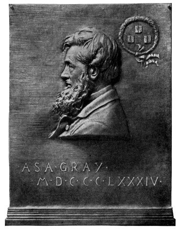 Asa Gray