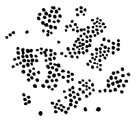 Micrococcus from Soil