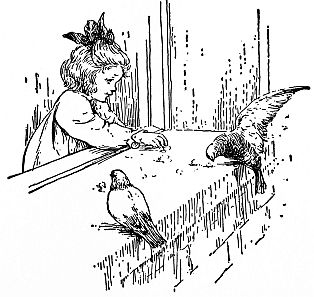 gril feeding birds on outside windowsill